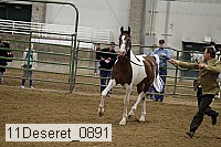 11deseret_0891 thumbnail