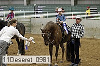 11deseret_0981 thumbnail
