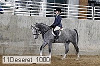 11deseret_1000 thumbnail