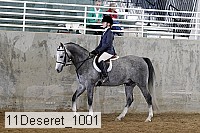 11deseret_1001 thumbnail