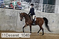 11deseret_1048 thumbnail