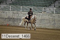 11deseret_1466 thumbnail