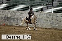 11deseret_1467 thumbnail