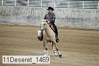 11deseret_1469 thumbnail