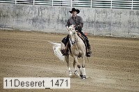 11deseret_1471 thumbnail