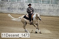 11deseret_1473 thumbnail