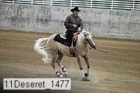 11deseret_1477 thumbnail