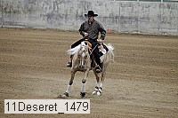 11deseret_1479 thumbnail