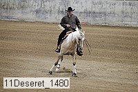 11deseret_1480 thumbnail