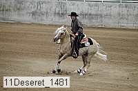 11deseret_1481 thumbnail