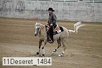 11deseret_1484 thumbnail