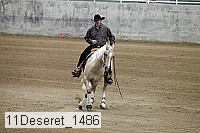 11deseret_1486 thumbnail