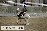 11deseret_1494 thumbnail