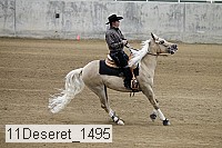 11deseret_1495 thumbnail