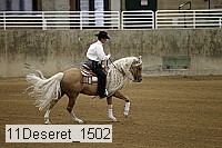 11deseret_1502 thumbnail