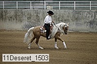 11deseret_1503 thumbnail