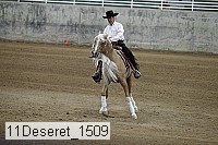 11deseret_1509 thumbnail