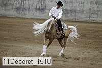 11deseret_1510 thumbnail