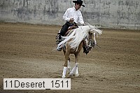 11deseret_1511 thumbnail