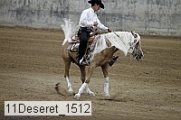 11deseret_1512 thumbnail