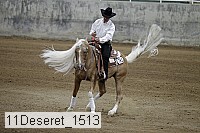 11deseret_1513 thumbnail