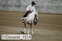 11deseret_1514 thumbnail