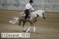 11deseret_1515 thumbnail