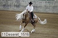 11deseret_1516 thumbnail