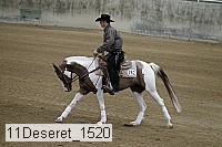 11deseret_1520 thumbnail