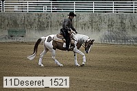 11deseret_1521 thumbnail