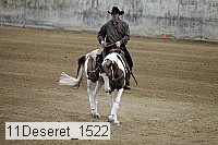 11deseret_1522 thumbnail