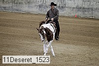 11deseret_1523 thumbnail