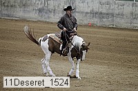 11deseret_1524 thumbnail