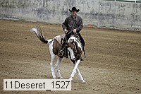 11deseret_1527 thumbnail