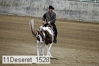 11deseret_1528 thumbnail