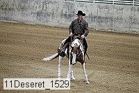 11deseret_1529 thumbnail