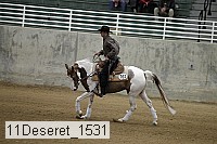 11deseret_1531 thumbnail