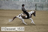 11deseret_1533 thumbnail