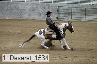 11deseret_1534 thumbnail