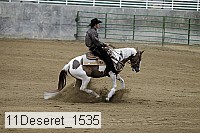 11deseret_1535 thumbnail