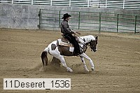 11deseret_1536 thumbnail