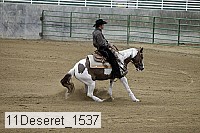 11deseret_1537 thumbnail