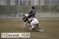 11deseret_1538 thumbnail