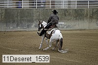 11deseret_1539 thumbnail