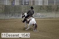 11deseret_1540 thumbnail