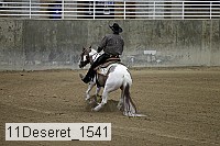 11deseret_1541 thumbnail