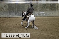 11deseret_1542 thumbnail