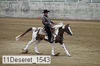 11deseret_1543 thumbnail