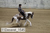 11deseret_1545 thumbnail