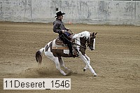 11deseret_1546 thumbnail